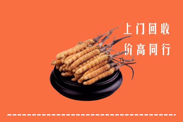 高价求购：绍兴市新昌回收散虫草