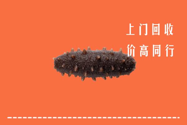 高价求购：绍兴市新昌回收海参