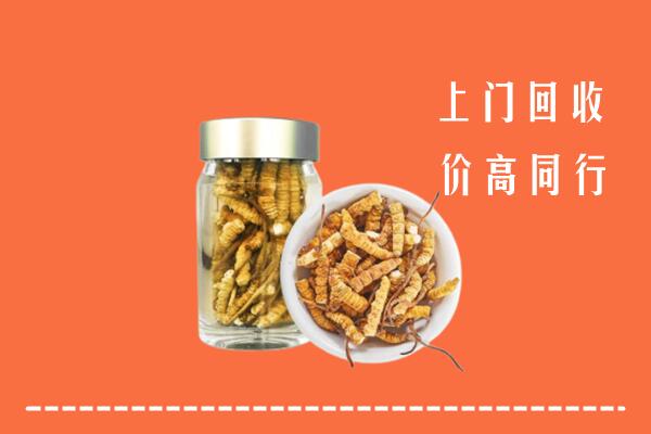 绍兴市新昌回收冬虫夏草