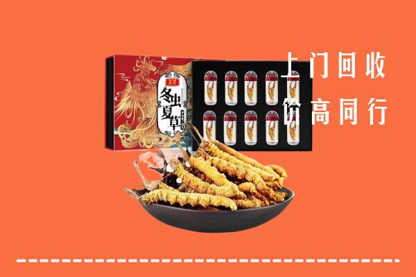 绍兴市新昌回收虫草